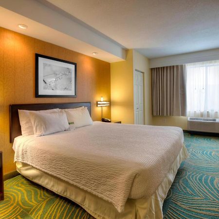 Springhill Suites By Marriott - Tampa Brandon Heartland Ngoại thất bức ảnh