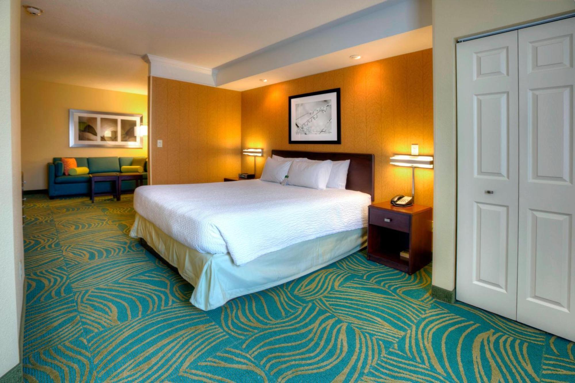Springhill Suites By Marriott - Tampa Brandon Heartland Ngoại thất bức ảnh
